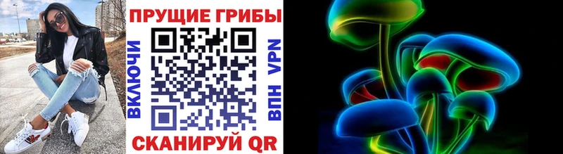 Псилоцибиновые грибы мицелий  купить   Галич 
