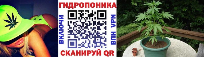 Канабис THC 21%  Галич 
